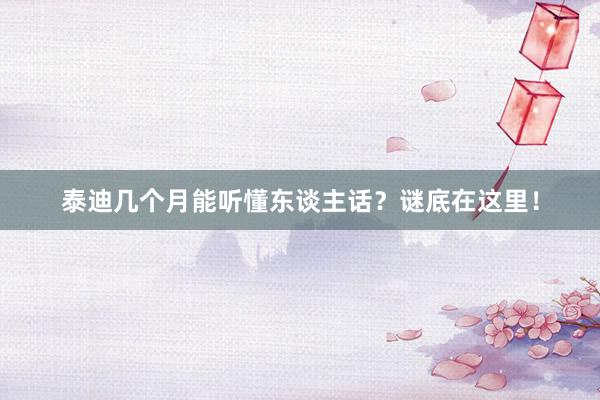 泰迪几个月能听懂东谈主话?谜底在这里!