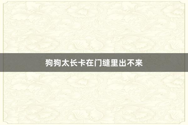 狗狗太长卡在门缝里出不来