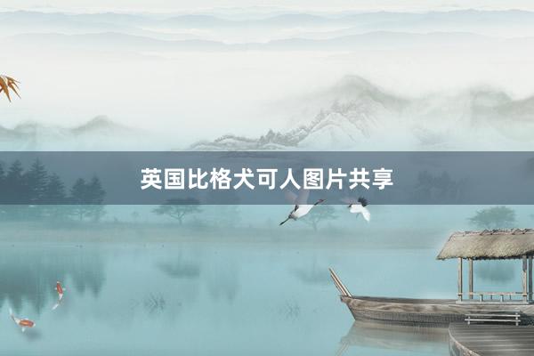 英国比格犬可人图片共享