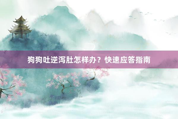 狗狗吐逆泻肚怎样办?快速应答指南